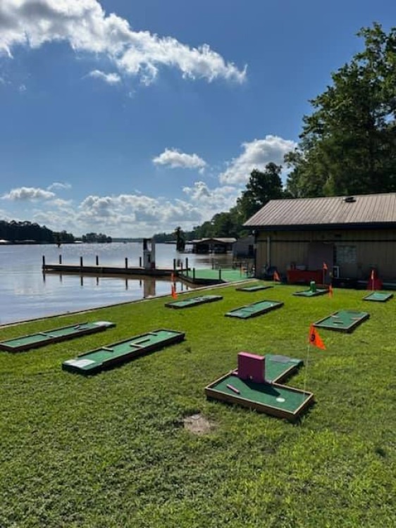 9 Hole Mini Golf